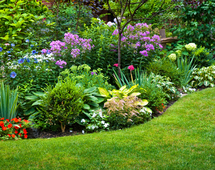 50 pomysłów roślina na rabatę kwiatową przed domem.