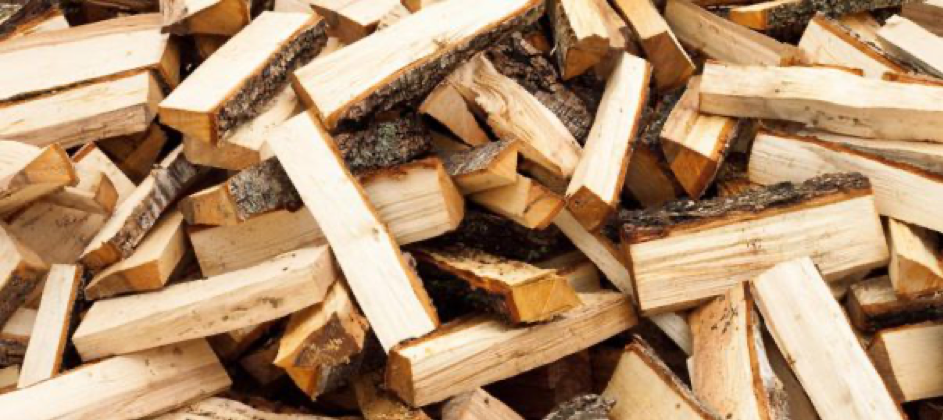W jakich przypadkach wycinka za drewno jest opłacalna? 
